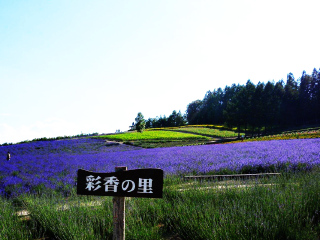 幾月份去日本最便宜_日本最佳旅游路線_十一日本游