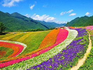幾月份去日本最便宜_日本最佳旅游路線_十一日本游