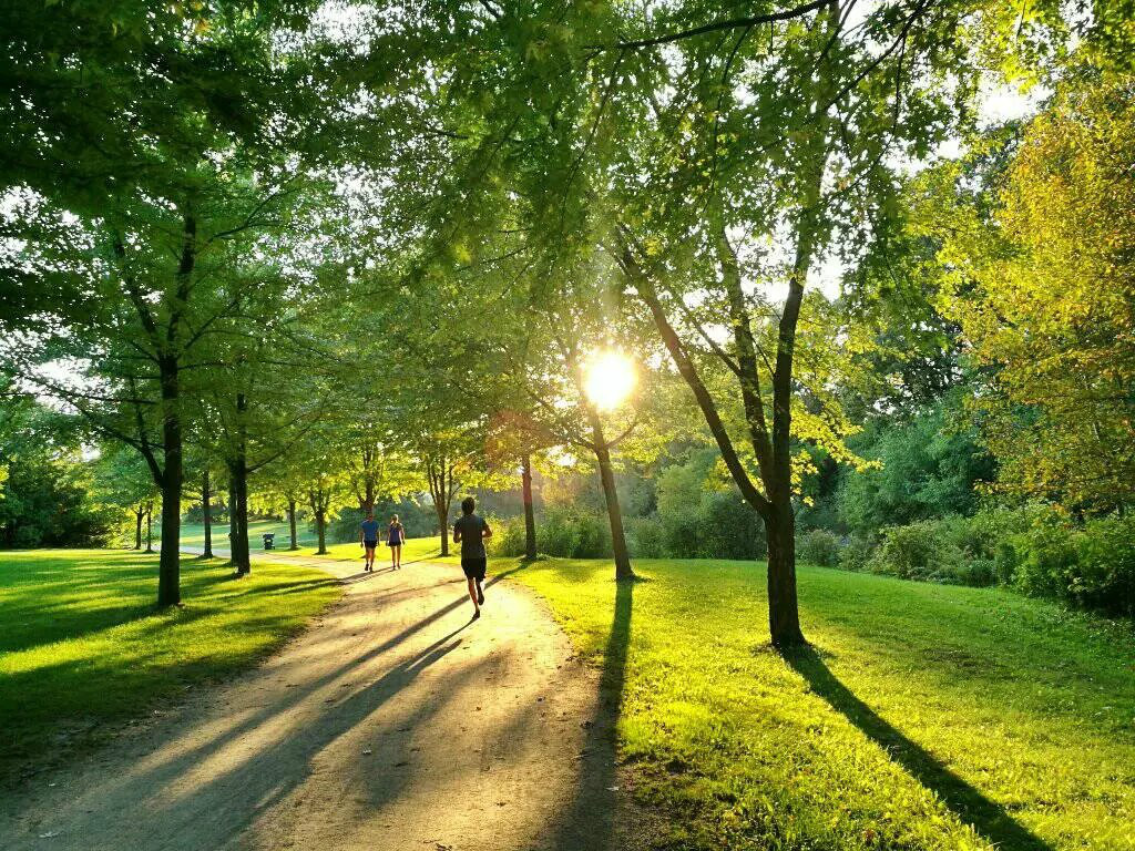 斜阳下,公园里锻炼的人在阳光的照射下也充满了诱惑.