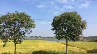 镇江好玩吗_镇江哪比较好玩_镇江住宿哪里好