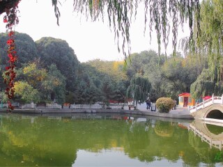 春节新疆游价格_新疆9日游跟团费用_新疆双人旅游价格
