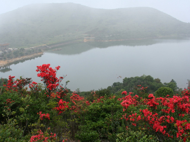  凤凰山国家森林公园2日游>体验登顶刺激 升级标间住宿 往返空调旅游