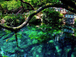 大理7日游旅行团_旅行去大理_到大理旅游报团