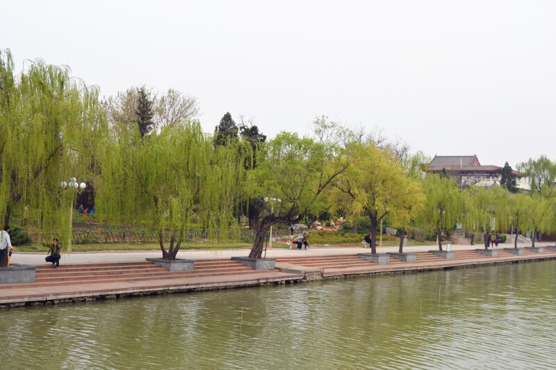 两岸绿柳成荫婀娜多姿的西堤,巍峨挺拔的万寿山气势如虹.