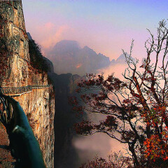 景点模块 