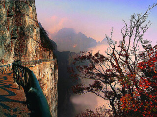 旅行團(tuán)湖南張家界游_暑假湖南張家界游價(jià)格_8月湖南張家界旅游
