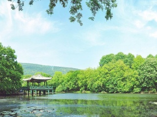 國(guó)慶華東游價(jià)格_春節(jié)假期去華東游價(jià)格_華東五日游多少錢