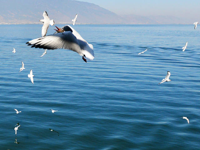 <云南丽江-玉龙雪山-大理3日游