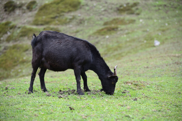 博罗县哪有好玩的地方_博罗县哪比较好玩_博