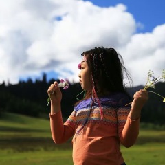 活动模块 