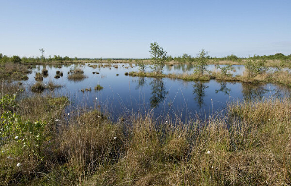 合拍婚纱照的地方_大同适合拍婚纱照的外景_