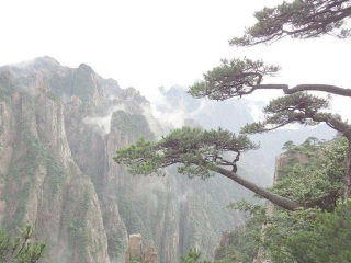 黃山旅游團(tuán)_去黃山游怎么省錢_到黃山旅游多少錢