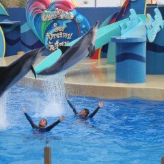 海洋公园 景点模块