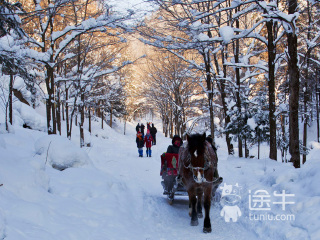 哈尔滨最佳旅游_端午去哈尔滨旅游_哈尔滨旅游优惠