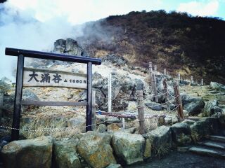 報(bào)團(tuán)去日本東京多少錢_日本東京旅游價(jià)格多少跟團(tuán)_近期日本東京游價(jià)格