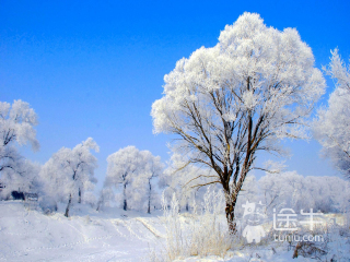哈尔滨最佳旅游_端午去哈尔滨旅游_哈尔滨旅游优惠