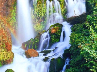 云南昆明旅游團(tuán)報(bào)價(jià)自由行_云南昆明游 旅行團(tuán)_云南昆明旅游費(fèi)用多少