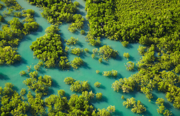 达尔文最佳旅游时间_达尔文有什么好玩的地方