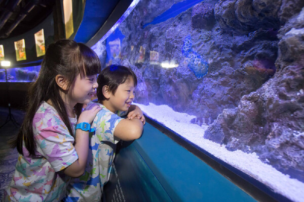 五月去香港海洋公园旅游必备物品_五月去香港