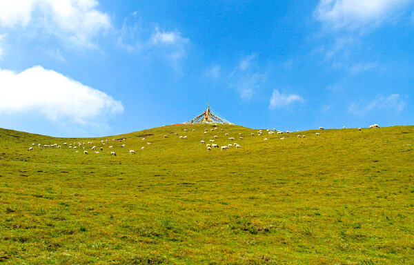 夏天去青海旅游必备物品_夏天去青海旅游景点