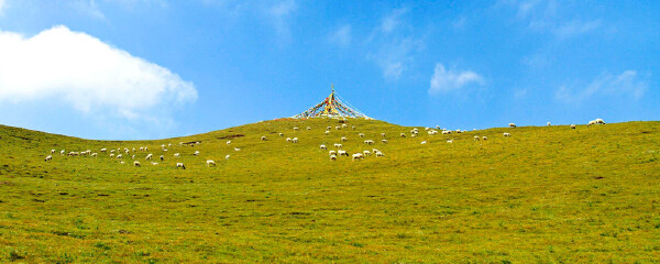 夏天去青海旅游必备物品_夏天去青海旅游景点