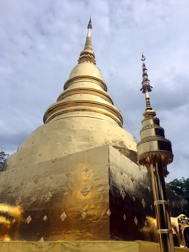 #牛牛伴我闯天涯# 猫猫在路上--走一个不一样的