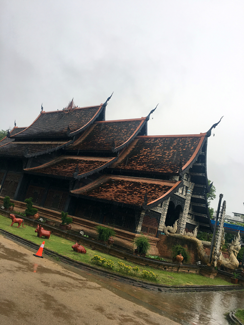 #牛牛伴我闯天涯# 猫猫在路上--走一个不一样的