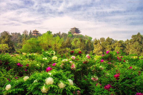 【2017年北京博物馆通票发行】_2017年北京