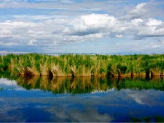 旅游團(tuán)蘭州青海湖_蘭州青海湖旅游花多少錢(qián)_蘭州青海湖旅游團(tuán)報(bào)價(jià)2021