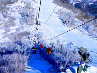 東北長(zhǎng)白山自由行還是跟團(tuán)好_怎么去東北長(zhǎng)白山旅游_旅游團(tuán)東北長(zhǎng)白山