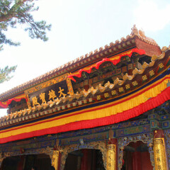 景点模块 