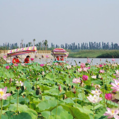 景点模块 