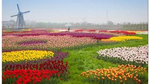 <孝感金卉庄园1日游