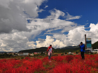 香格里拉八日旅游_香格里拉最新旅游_香格里拉半自助游