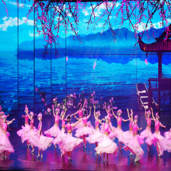 大型演出 景点模块