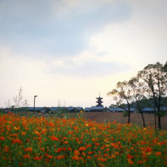 拈花湾