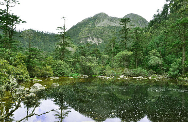 八月去内江怎么样_八月去内江好吗_八月去内