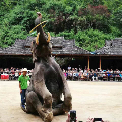 景点模块 