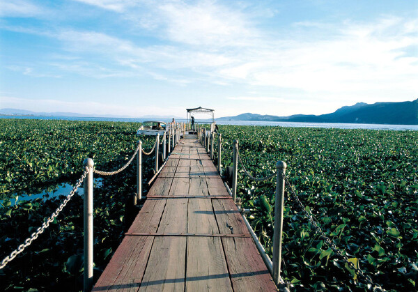 12月去昆明天气_昆明十二月温度_昆明十二月平均气温