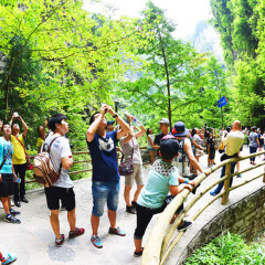 景点模块 