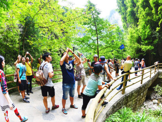 旅游去重慶_重慶旅游花費(fèi)一般多少_重慶自由游價(jià)格多少