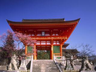 日本几日游最好_日本10日游路线_日本旅游价格多少跟团