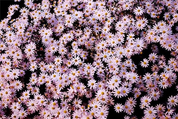 十一月去山西旅游必备物品_十一月去山西旅游