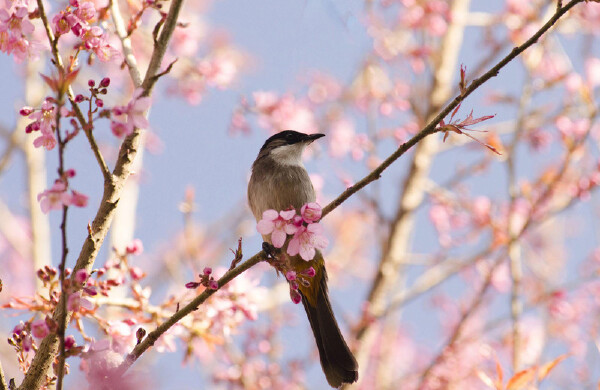 广州适合孩子的景点_广州适合孩子玩的景点_