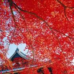 小交通模块 