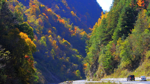 凉台沟-龙溪谷达拉布庄园2日游红叶彩林胜地米亚罗红叶风景区,观