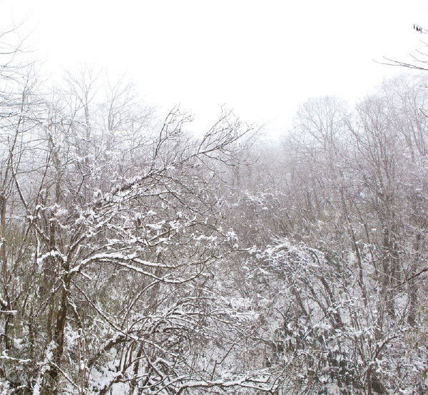 12月去西岭雪山天气_西岭雪山十二月温度_西