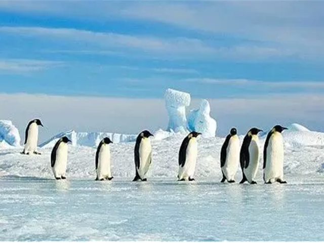  2017南极人生之旅-庞洛邮轮-日丽号-南极 巴西 阿根廷22日游>万吨级