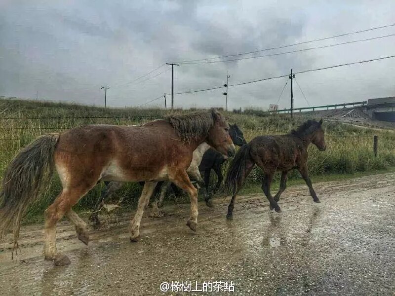 转山转水转女生,只为遇见你-大美青海姨妈大佛塔的表现的图片