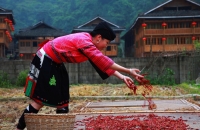 赏瑶族歌舞品瑶家风俗